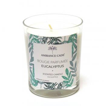Bougie parfumée eucalyptus