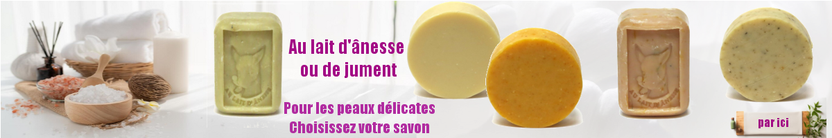 Savons au lait d'ânesse, de jument
